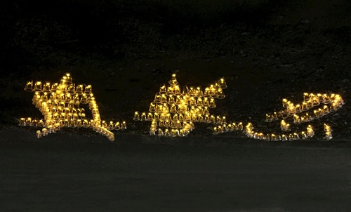 Image for article Australia: Mengadakan Kegiatan di Pusat Kota Canberra Mengenang 21 Tahun Perlawanan Damai Menentang Penganiayaan PKT