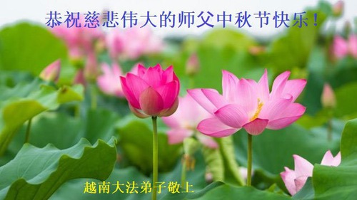 Image for article Praktisi Falun Dafa dari Singapura, Vietnam dan Thailand Dengan Hormat Mengucapkan Selamat Festival Pertengahan Musim Gugur kepada Guru Li Hongzhi (25 Ucapan)