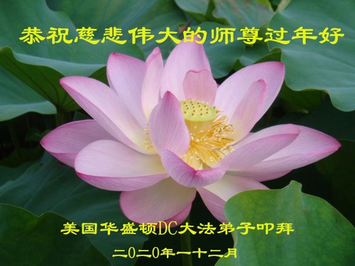 Image for article Praktisi Falun Dafa dari Amerika Serikat Mengucapkan Selamat Tahun Baru kepada Guru Terhormat (29 Ucapan)