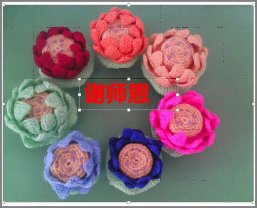 Image for article Praktisi Falun Dafa dari Mongolia Dalam Mengucapkan Selamat Tahun Baru kepada Guru Li Hongzhi (21 Ucapan)