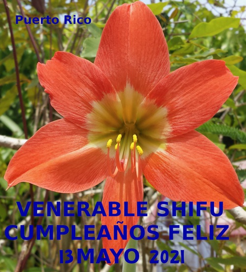 Image for article Puerto Rico: Praktisi Merayakan Hari Falun Dafa Sedunia 2021