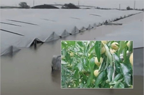 Image for article Bencana Alam yang Sering Terjadi Baru-baru ini di Tiongkok