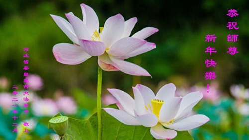 Image for article Praktisi Falun Dafa dari Kota Qinhuangdao Mengucapkan Selamat Tahun Baru kepada Guru Li Hongzhi Terhormat (21 Ucapan)