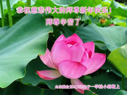 Image for article Praktisi Falun Dafa dari Provinsi Shandong Mengucapkan Selamat Tahun Baru kepada Guru Li Hongzhi Terhormat (29 Ucapan)