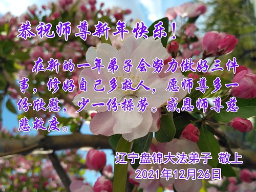 Image for article Praktisi Falun Dafa dari Kota Panjin Mengucapkan Selamat Tahun Baru kepada Guru Li Hongzhi Terhormat (26 Ucapan)