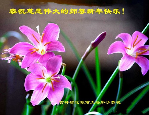 Image for article Praktisi Falun Dafa dari Provinsi Jilin Mengucapkan Selamat Tahun Baru kepada Guru Li Hongzhi Terhormat (25 Ucapan)