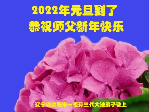 Image for article Praktisi Falun Dafa dari Kota Shenyang Mengucapkan Selamat Tahun Baru kepada Guru Li Hongzhi Terhormat (22 Ucapan)