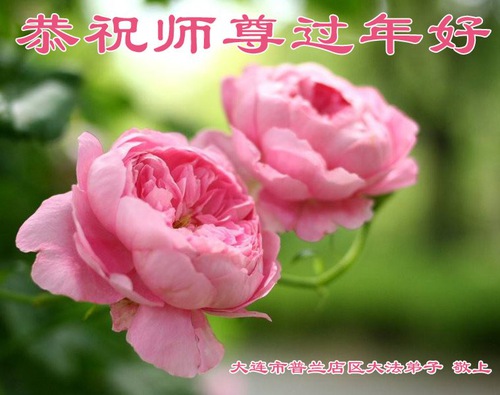 Image for article Praktisi Falun Dafa dari Kota Dalian dengan Hormat Mengucapkan Selamat Tahun Baru Imlek kepada Guru Li Hongzhi (23 Ucapan)