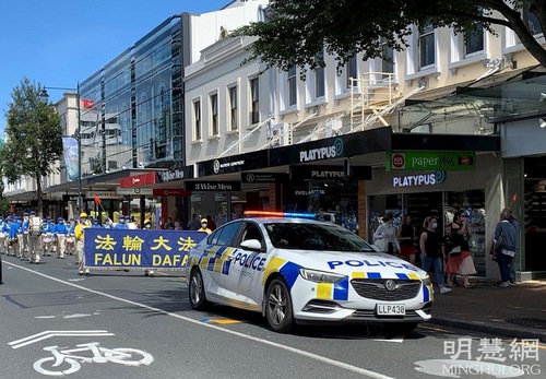 Image for article Dunedin, Selandia Baru: Sejati-Baik-Sabar Sangat Penting