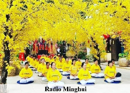 Image for article Podcast 274 (Kultivasi): 