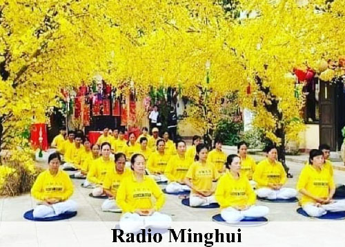 Image for article Podcast 271 (Kultivasi): 