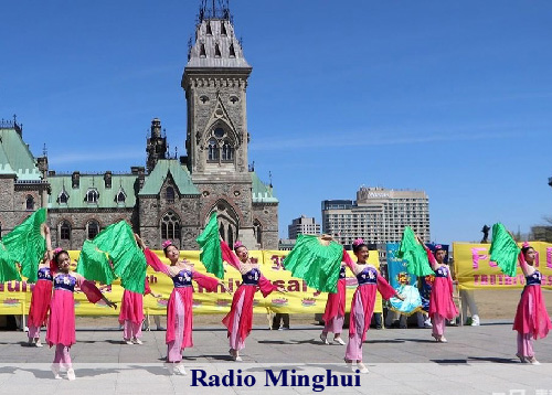 Image for article Podcast 320 (Kultivasi): 