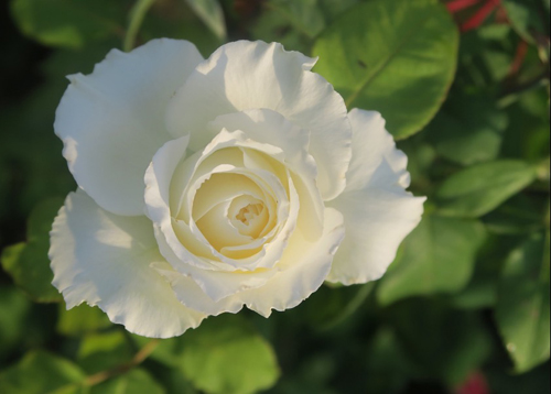 Image for article Menyingkirkan Keterikatan pada Keuntungan Saat Mengelola Bisnis