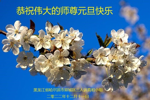 Image for article Praktisi Falun Dafa dari Kota Harbin dengan Hormat Mengucapkan Selamat Tahun Baru kepada Guru Li Hongzhi (26 Ucapan)