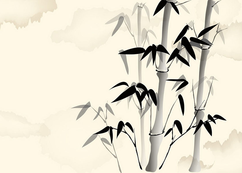 Image for article Mukjizat Terjadi dalam Praktek Medis Saya