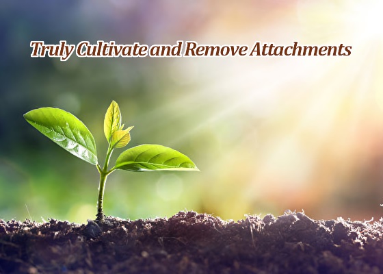 Image for article Falun Dafa Mengubah Hidup Saya