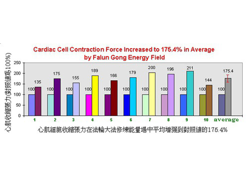 Image for article Latihan Kultivasi Menunjukkan Hasil Peningkatan Kesehatan Tubuh, Pikiran, dan Energi Manusia