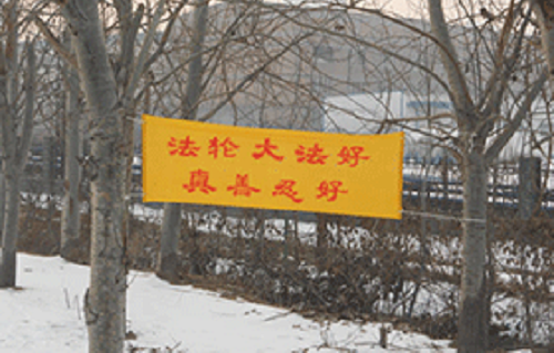 Image for article Berjuang Menyelamatkan Lebih Banyak Orang Selama Pandemi COVID