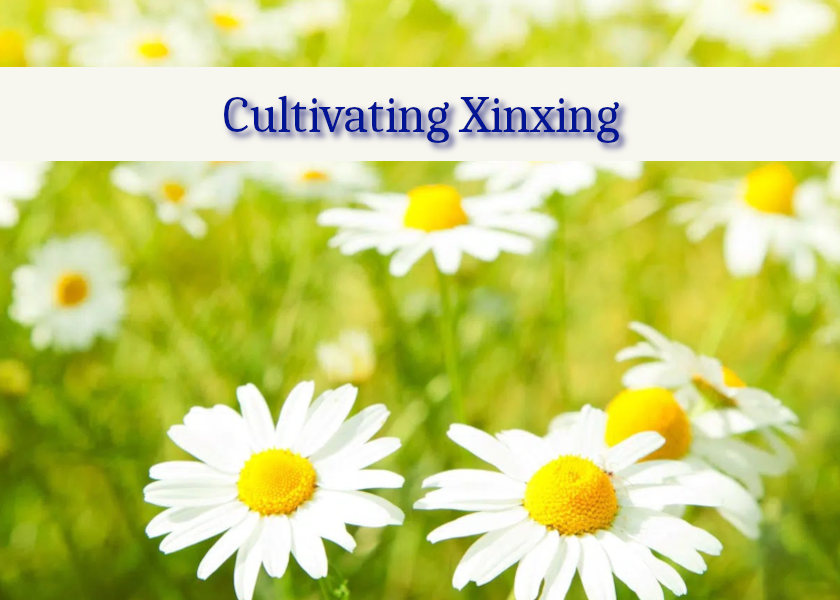 Image for article Sedikit Pandangan Setelah Membaca Artikel “Menyingkirkan Gangguan dari Pidato yang Mengacaukan Fa”