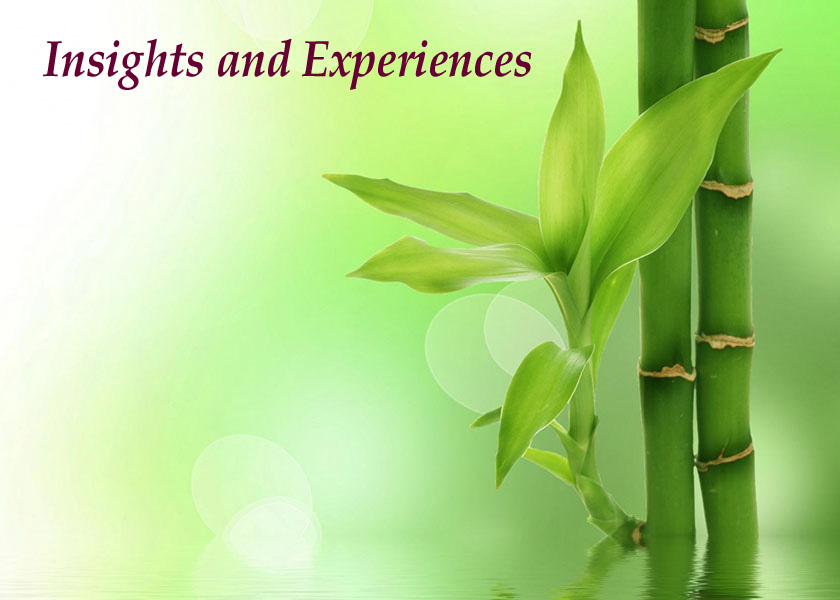 Image for article Mengubah Pola Pikir tentang Mengirimkan Artikel ke Minghui