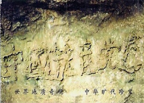 Image for article Darwin dan Teori Evolusinya (Bagian 3)