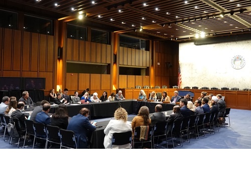 Image for article Dengar Pendapat di Capitol Hill Menyoroti Berlanjutnya Penindasan dan Pembunuhan Praktisi Falun Gong