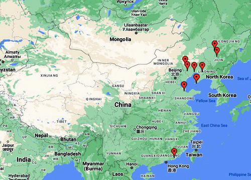 Image for article Berita Penganiayaan dari Tiongkok – 24 Juni 2023 (10 Laporan)