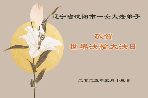 Image for article Praktisi Falun Dafa dari Kota Shenyang Merayakan Hari Falun Dafa Sedunia (18 Ucapan)