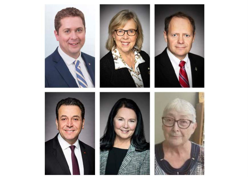 Image for article Kanada: Pejabat Terpilih di Ketiga Tingkat Pemerintahan Mengirim Surat Ucapan Selamat atas Hari Falun Dafa Sedunia ke-26 (Bagian 3)