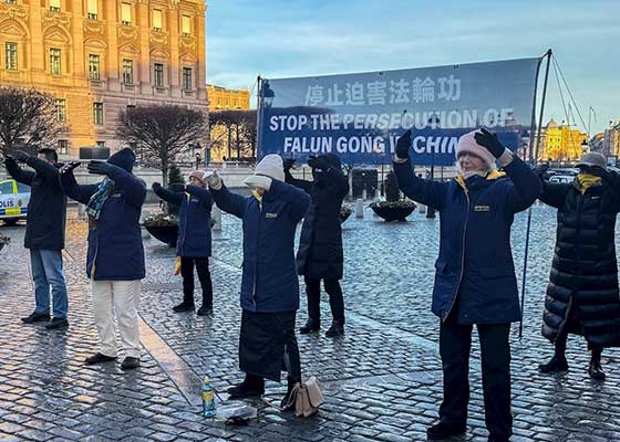 Image for article Stockholm: Praktisi Memperkenalkan Falun Dafa Selama Musim Libur