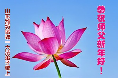 Image for article Praktisi Falun Dafa dari Provinsi Shandong dengan Hormat Mengucapkan Selamat Tahun Baru kepada Guru Li Hongzhi (106 Ucapan)