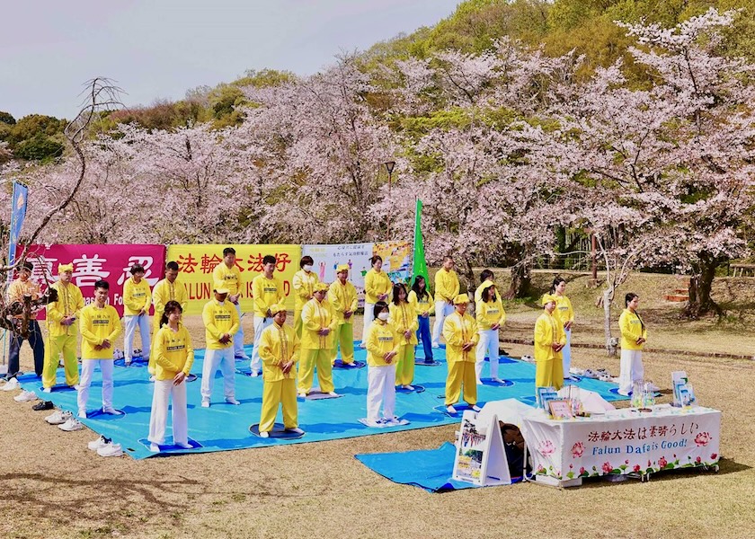 Image for article Kota Toyota, Jepang: Memperkenalkan Falun Dafa Selama Festival Bunga Sakura