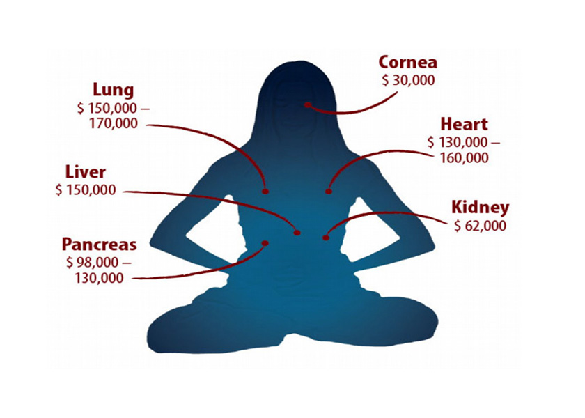 Image for article Dua Puluh Tahun Setelah Praktik Pengambilan Organ oleh PKT Diekspos: Di Manakah Posisi Kita Sekarang?