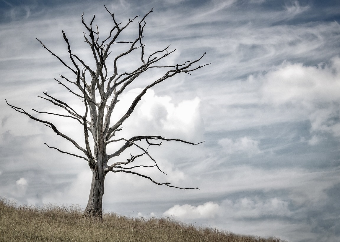 Image for article Pria Hubei Meninggal Kurang dari Dua Tahun Setelah Menjalani Hukuman 3 Tahun karena Berlatih Falun Gong